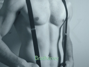 Bradharvey