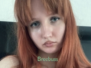 Breebuss