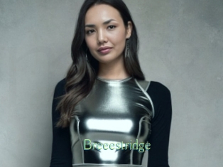Breeestridge