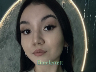 Breeferrett