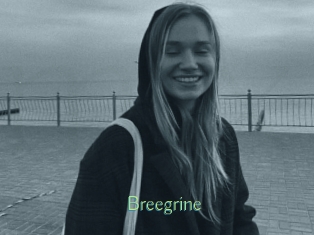 Breegrine