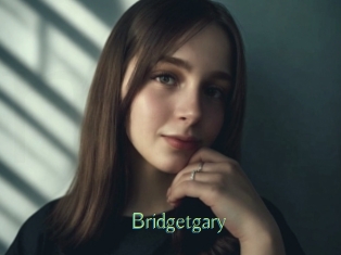 Bridgetgary