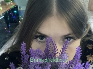 brimladfieldhous Motion X