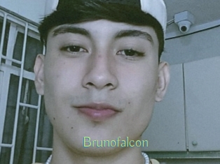 Brunofalcon