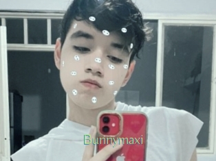 Bunnymaxi