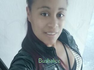 Bushalice
