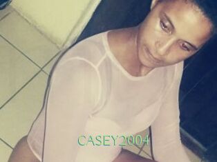 CASEY2004