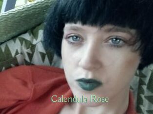 Calendula_Rose