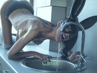 Cattiee