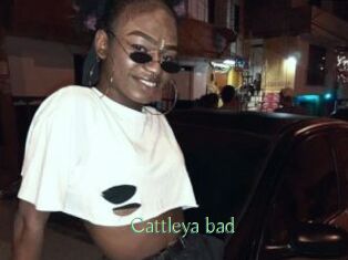 Cattleya_bad