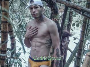 CedricGovea