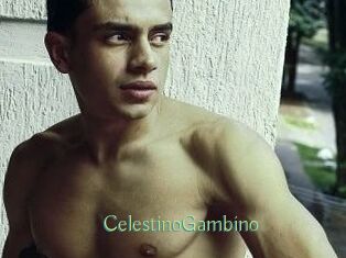 CelestinoGambino