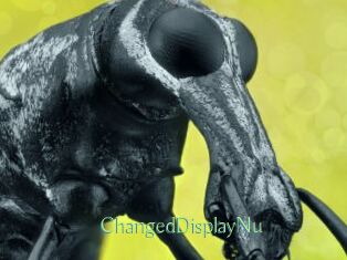 ChangedDisplayNu