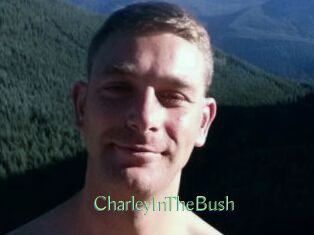CharleyInTheBush