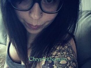 Chrys4nthemum