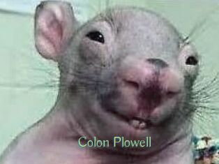 Colon_Plowell