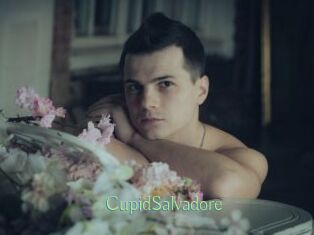 CupidSalvadore