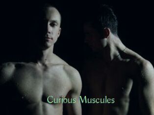 Curious_Muscules