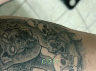 C1234