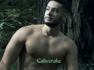 Calixsnake