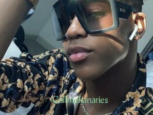 Callmekanaries