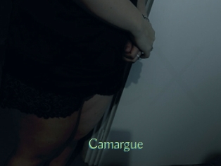 Camargue
