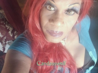candasswolf Motion X