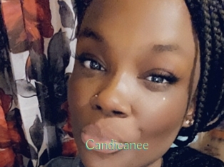 Candicanee