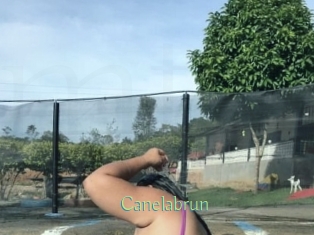 Canelabrun
