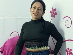 canelagolden Motion X