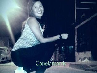 Canelamorris