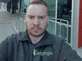 Cangingie
