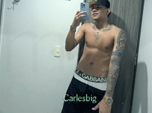 carlesbig Motion X