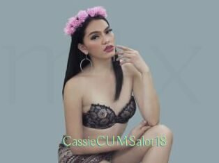 CassieCUMSalot18