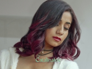 Catalinafox