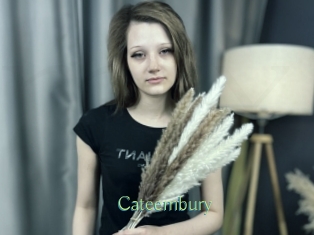 cateembury Motion X