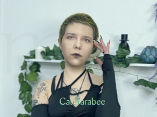 Catefarabee