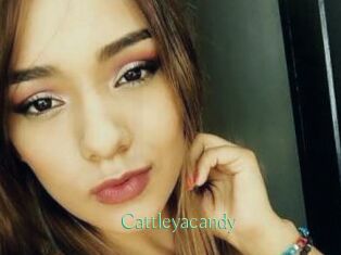 Cattleyacandy