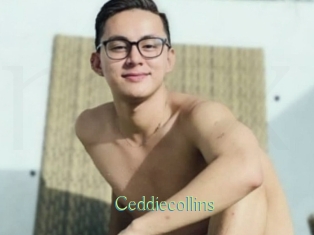 Ceddiecollins