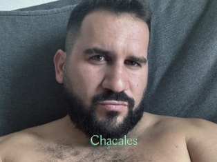Chacales