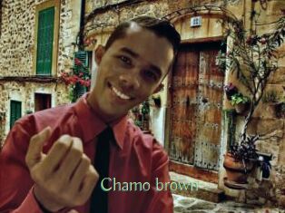 Chamo_brown