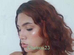 charlotte23 Motion X