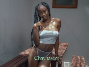 Chaynascot
