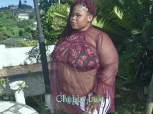 Chubby_bule