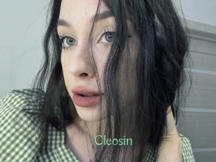 Cleosin