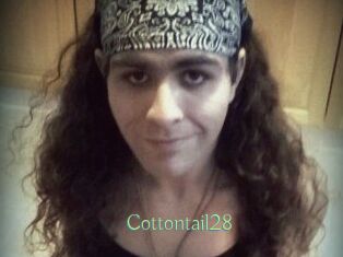 Cottontail28