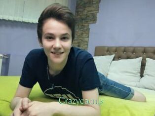 Crazycactus