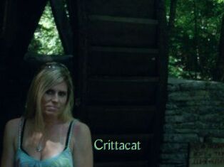 Crittacat