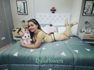 Daliaflowers