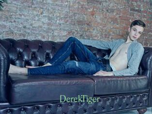 DerekTiger